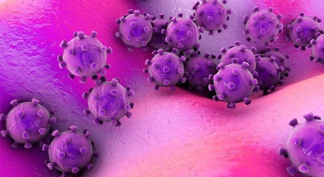 ویروس کرونا به سه نوع جهش ارتقاء پیدا کرده است