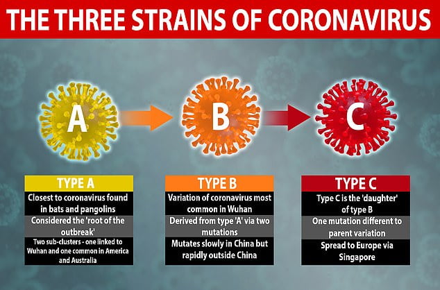 ویروس کرونا به سه نوع جهش ارتقاء پیدا کرده است