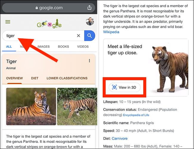 دیدن حیوانات سه بعدی گوگل بصورت واقعیت افزوده در اندروید و آیفون