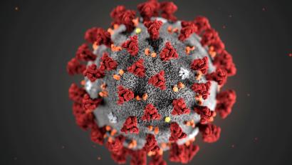 دلتا پلاس؛ آنچه در مورد جدیدترین نوع ویروس کرونا می دانیم