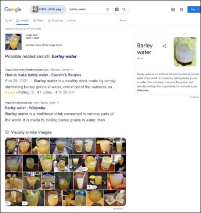 نحوه استفاده از Google Image Search در آیفون و آیپد