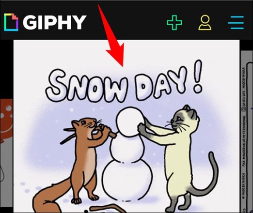 نحوه ذخیره کردن GIF در آیفون 1 نحوه ذخیره کردن GIF در آیفون