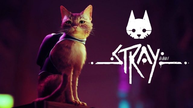 بازی Stray قطعا سال 2022 منتشر خواهد شد