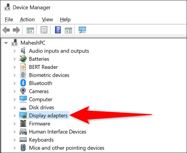 'Display Adapters' را بزرگ کنید.