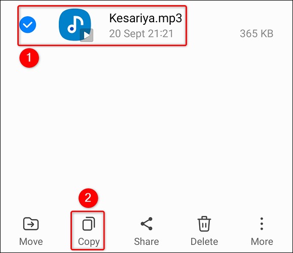 یک آهنگ را انتخاب کنید و روی 'کپی' ضربه بزنید.