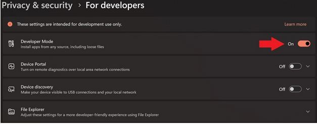 Developer Mode