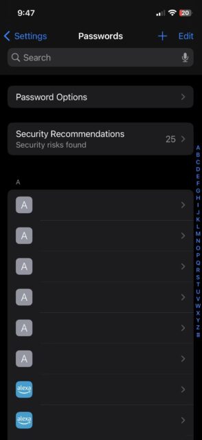 لیست رمز عبور که در منوی رمز عبور iOS قابل مشاهده است