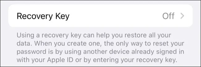 کلید بازیابی را در تنظیمات حساب روشن کنید