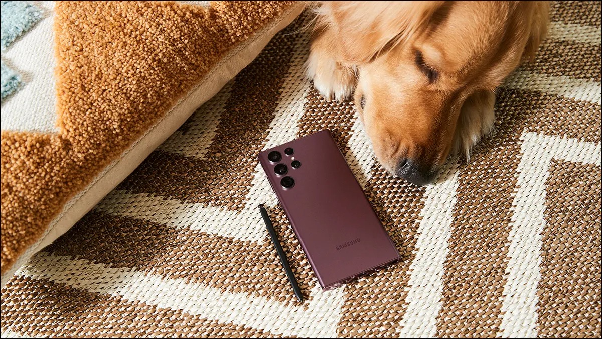 Samsung Galaxy S22 Ultra و یک سگ