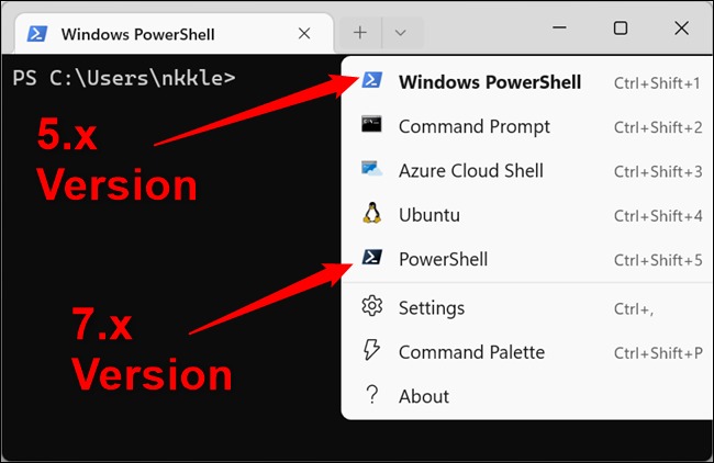 دو نسخه مختلف از PowerShell به عنوان پروفایل موجود است.