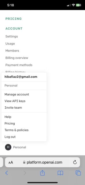 آموزش دسترسی به ChatGPT در آیفون با Siri 1 گزینه های نمایه OpenAI