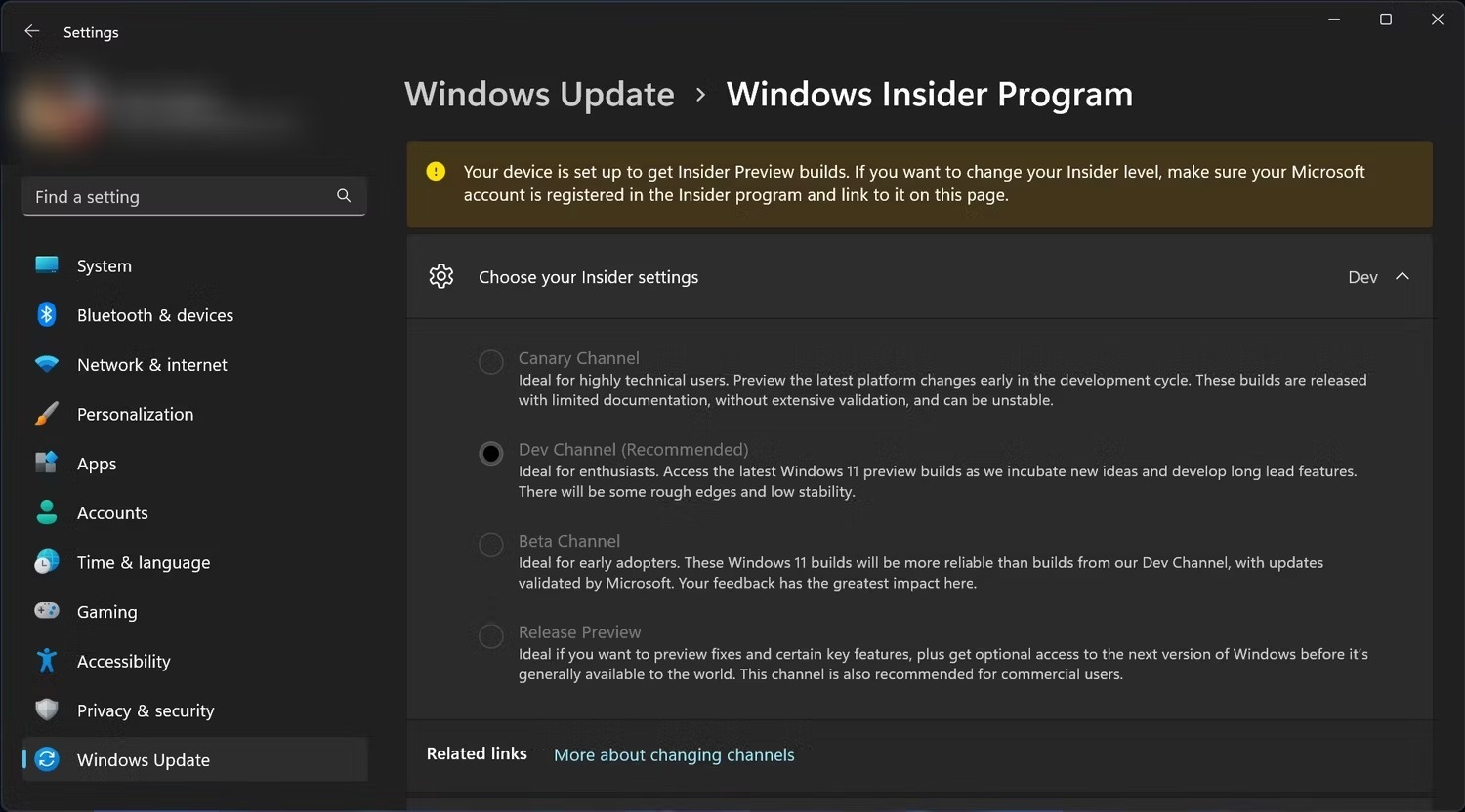 نحوه استفاده از Windows Canary Channel در ویندوز 11 1 برنامه Windows Insider