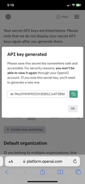 کلید API را کپی کنید
