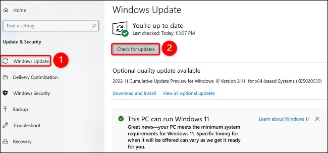 Windows Update Check for Updates را انتخاب کنید.