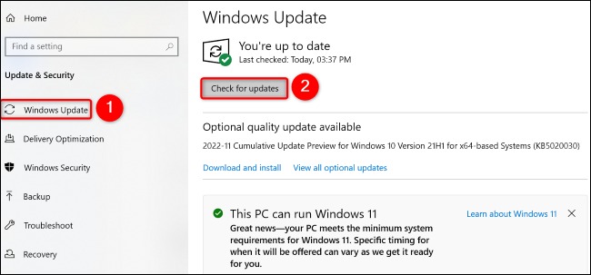 نحوه آپدیت درایور صدا در ویندوز 11 4 Windows Update Check for Updates را انتخاب کنید.
