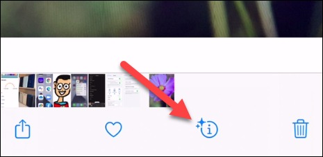 10 قابلیت برنامه Photos آیفون که باید از آن استفاده کنید 8 شناسایی آیتم ها