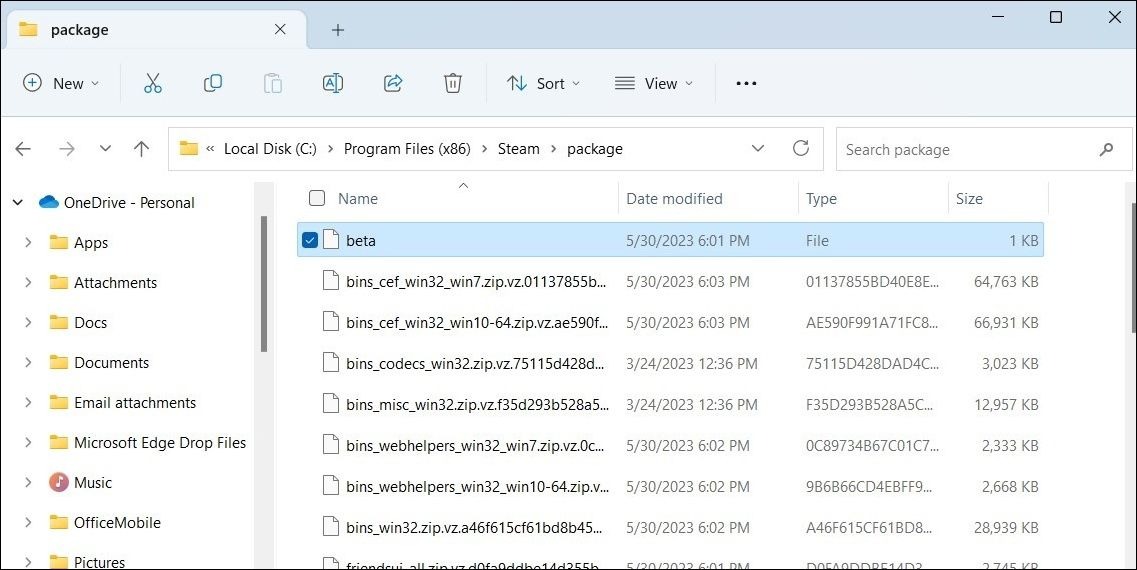 حذف فایل بتای Steam در ویندوز