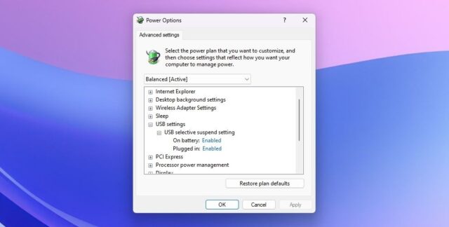 تنظیم تعلیق انتخابی USB در پنجره Power Option