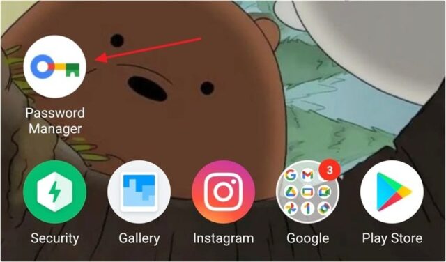 Google Password Manager در صفحه اصلی