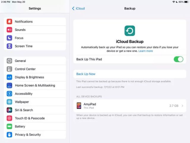 کلید کنار «پشتیبان‌گیری از این iPad» در برنامه تنظیمات