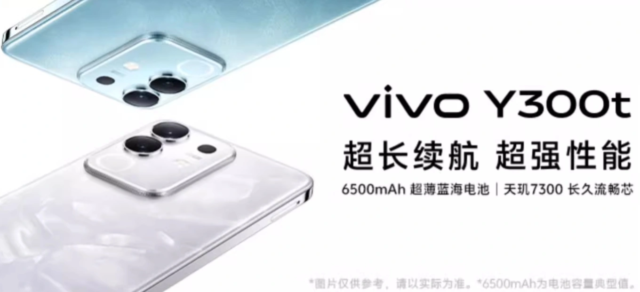 ویوو Y300t
