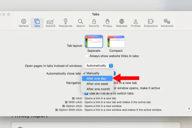 اگه فراموش می‌کنی تب‌ها رو دستی ببندی، کافیه بری به مسیر: Safari > Settings > Tabs، و توی منوی "Automatically close tabs" گزینه‌ی "after one day" رو انتخاب کنی
