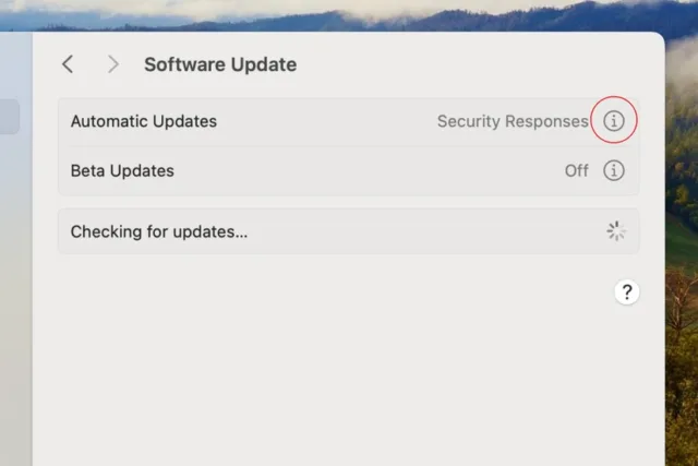 به مسیر Settings > General > Software Update برید، بعد روی آیکن "i" کنار گزینه Automatic updates کلیک کنید و مطمئن بشید همه موارد فعال هستن
