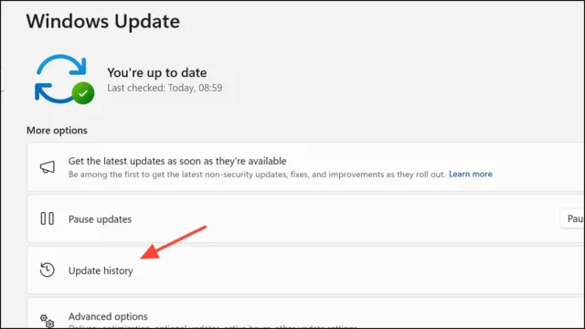 Settings > Windows Update > Update History