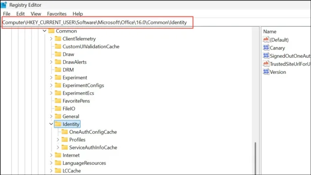 HKEY_CURRENT_USER\SOFTWARE\Microsoft\Office\16.0\Common\Identity