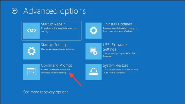 Advanced options 