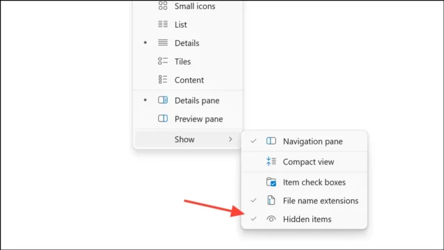 Show > Hidden items