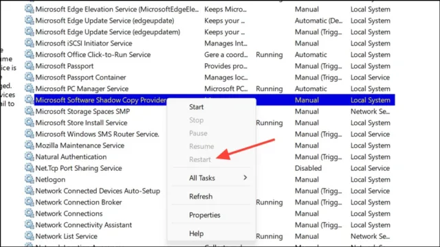 Microsoft Software Shadow Copy Provider و Windows Backup 